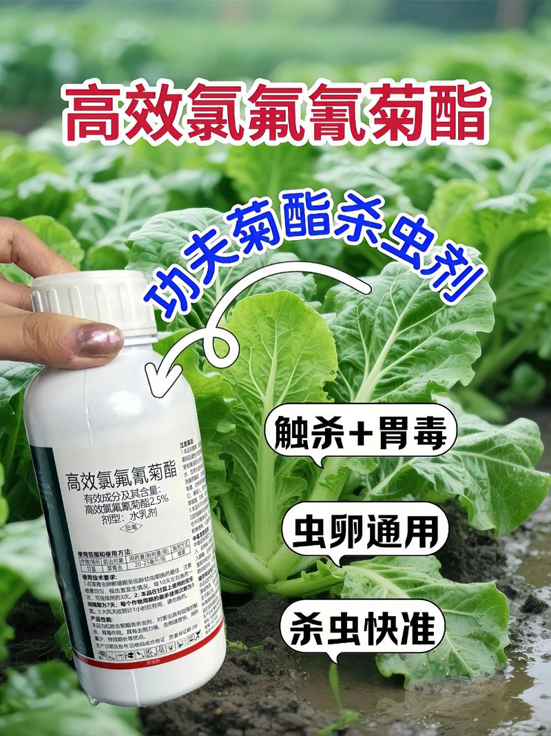 庆阳代生中心:农药对供卵代生妈妈的危害